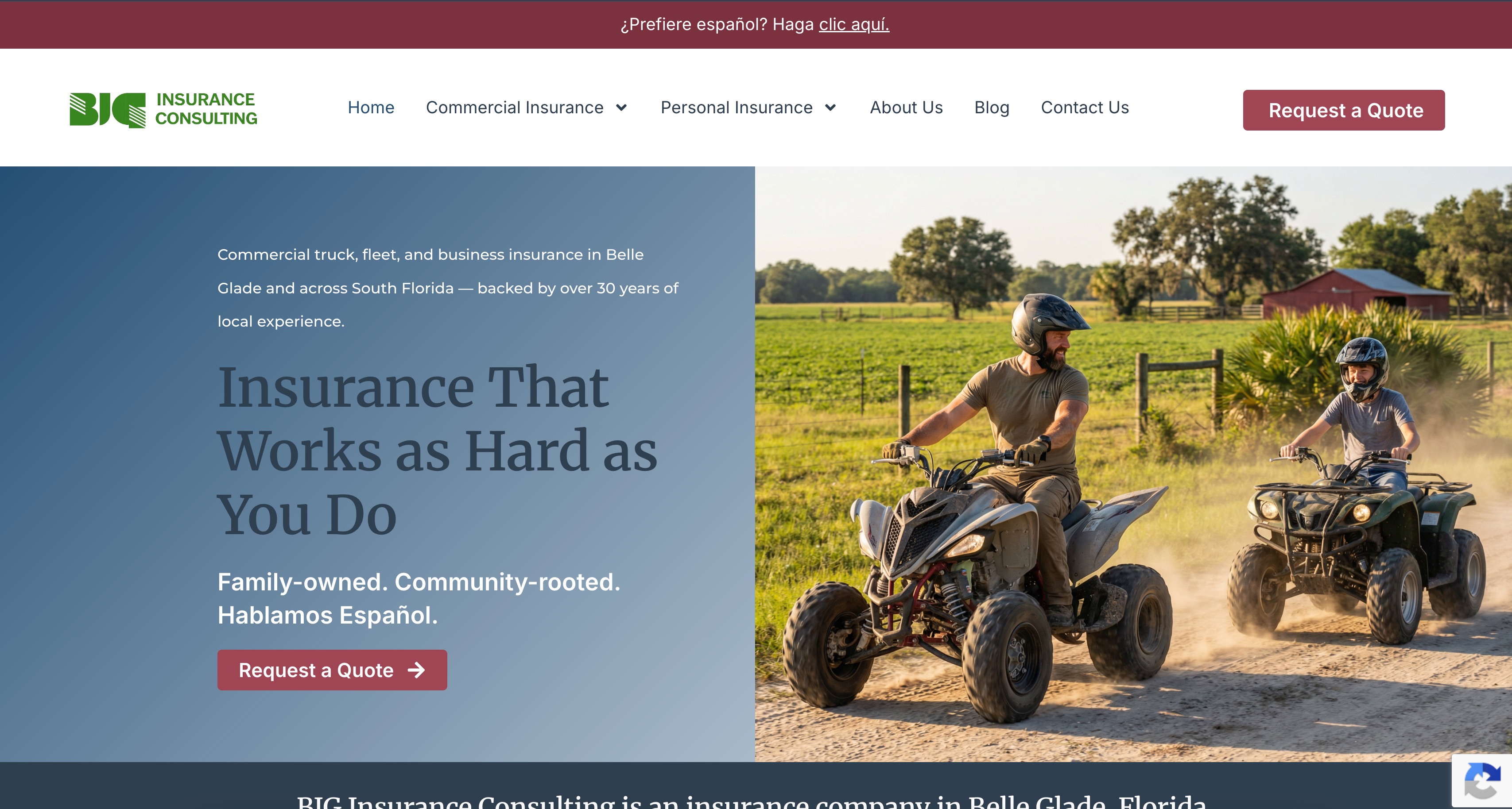 BIG Insurance Consulting homepage screenshot